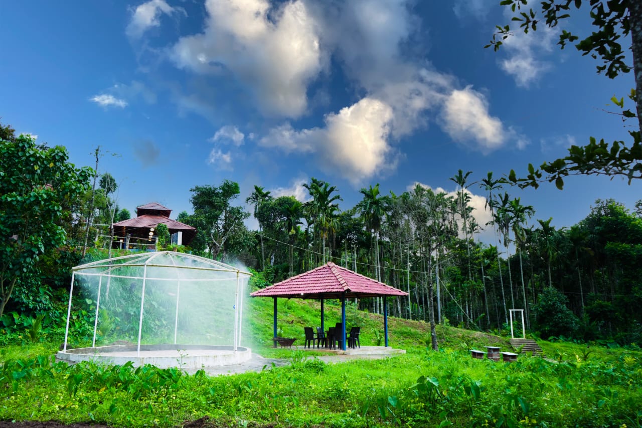 lotus lake retreat